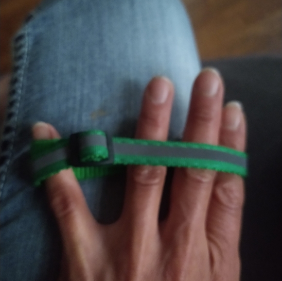 Cat with Bell, Reflective & Adjustable Breakaway green Collar - Picture 3 of 3